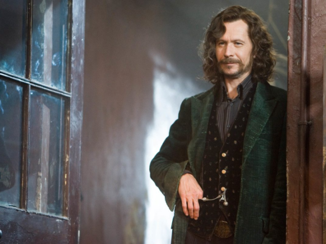 sirius black. porque ele era um animago.