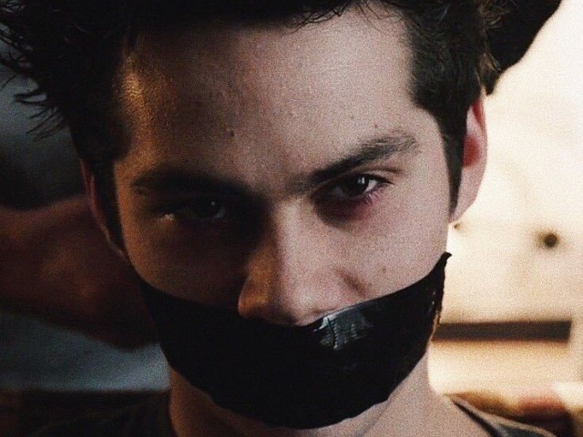 Vold Stiles