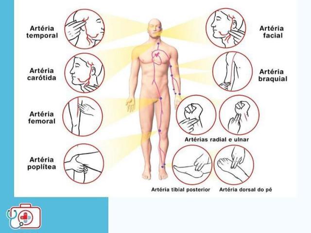 Artéria temporal: do lado do cabelo e acima da orelha.