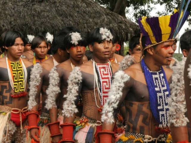 Jê, Mbya Guarani, Kaingang e mistos.