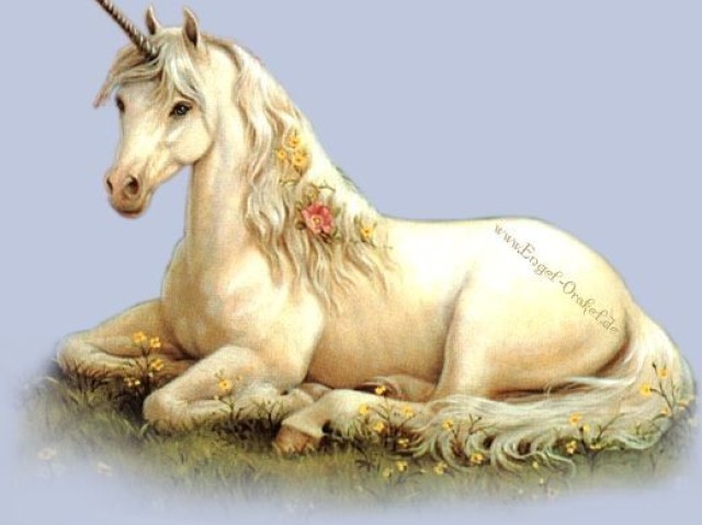 Unicórnio