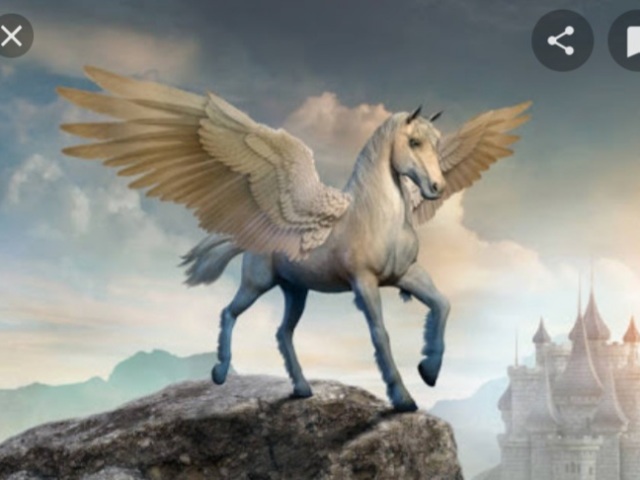 pegaso