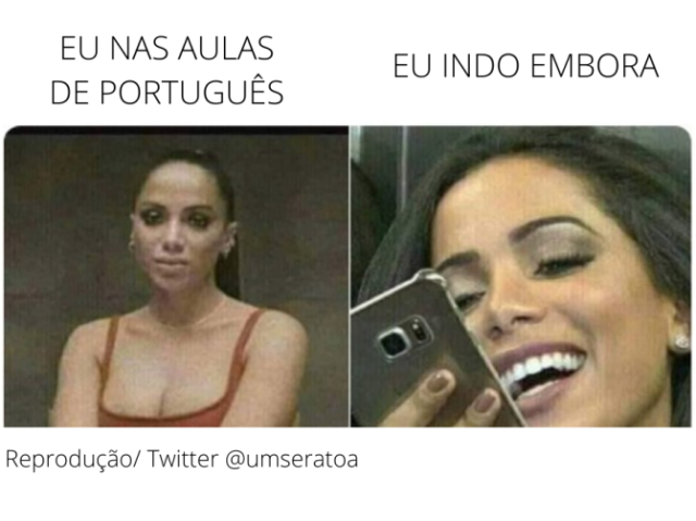 Você domina a Língua Portuguesa?