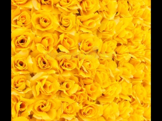 Amarelo