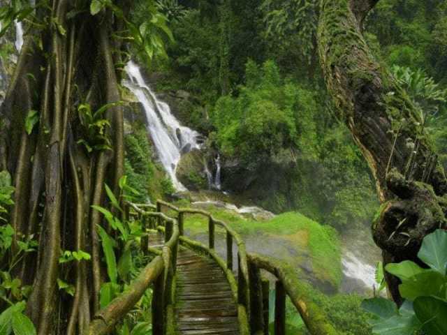 uma trila que leva a uma cachoeira