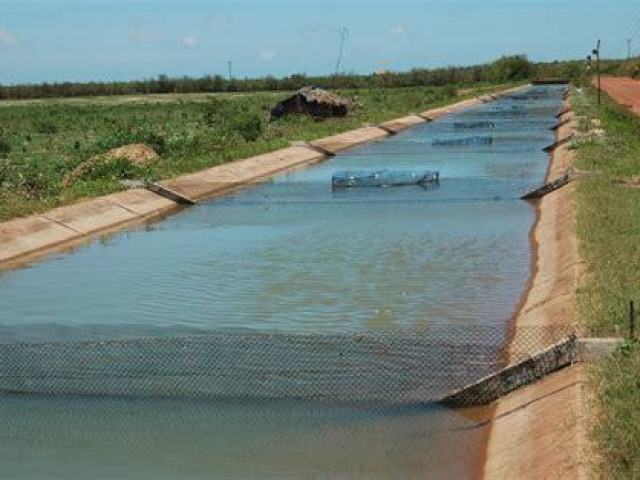 Boa qualidade do solo e a água em abundância, através dos rios, ribeirões e córregos