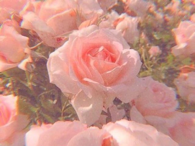 Escolha uma imagem e eu te indico uma música 。◕‿◕。