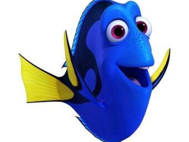 Dory