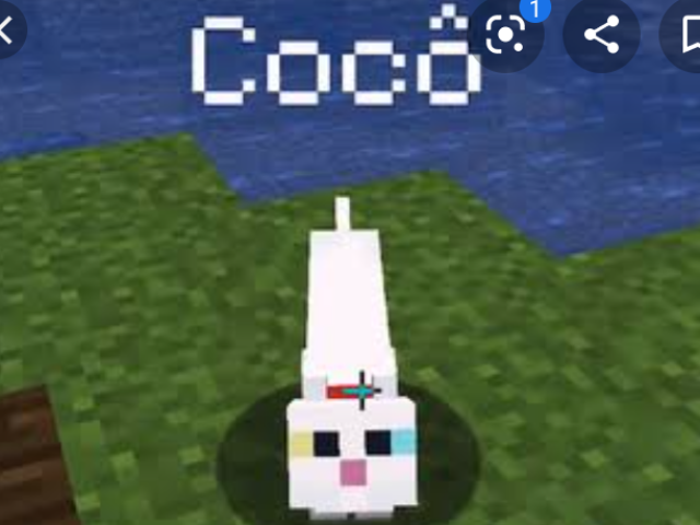 Cocô