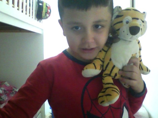 tigão