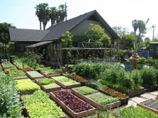 Um Lar com muito verde, horta e quintal grande