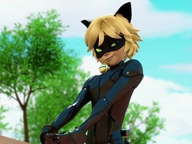 cat noir