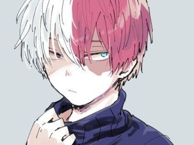 Todoroki (herói parte da DekuSquad)