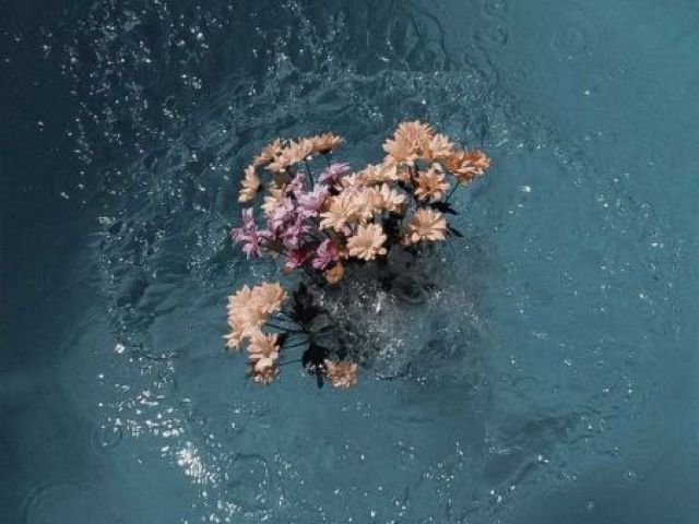 Pinterest