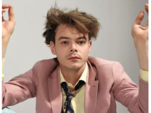 VocĂȘ conhece mesmo Charlie Heaton? đ