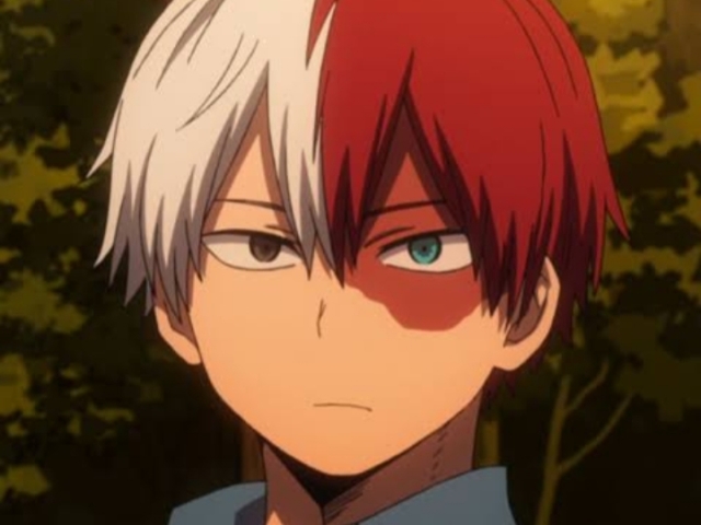 Todoroki