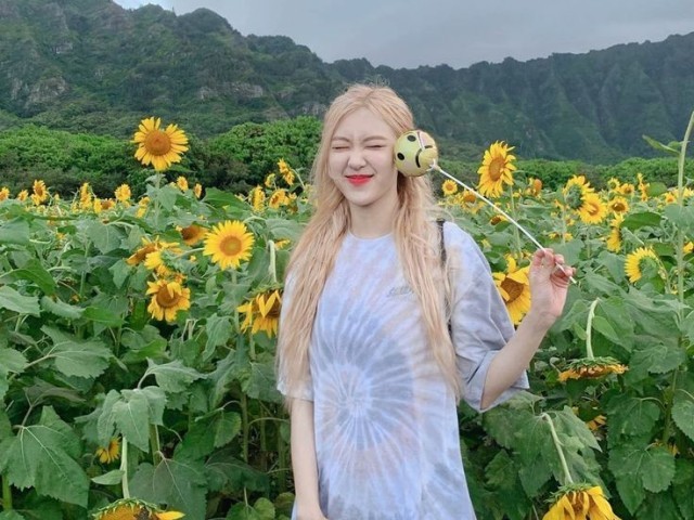 ❣️Rosé❣️