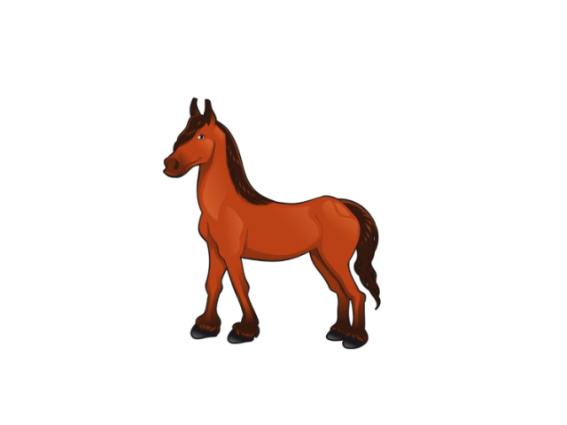 Cavalo