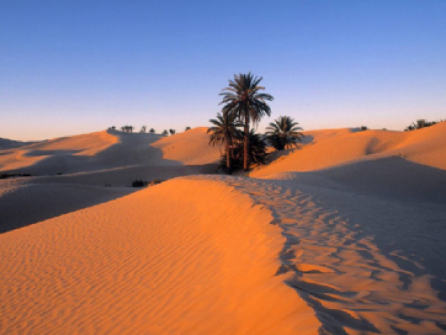 Deserto