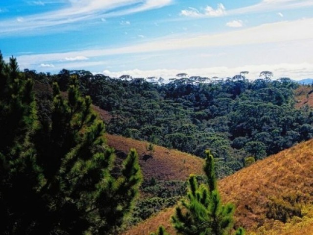 Campos do Jordão