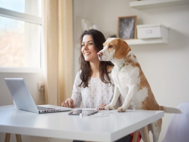 quer trabalhar em casa?