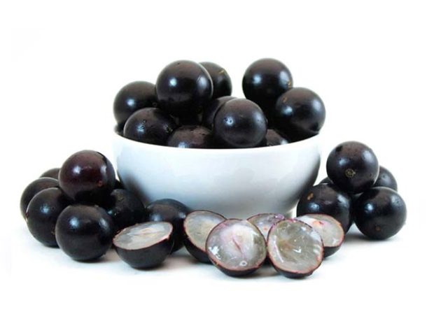 Jabuticaba