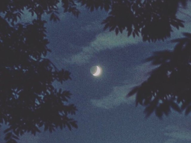 Dark
