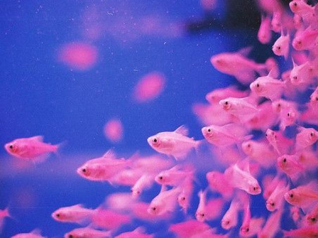 💕