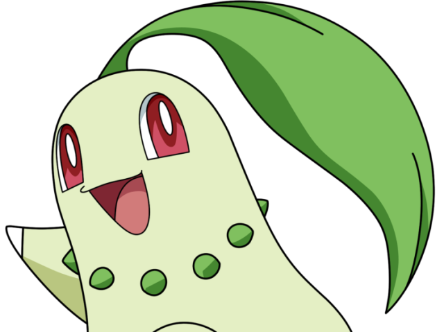 Chikorita