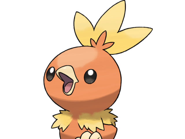 Torchic