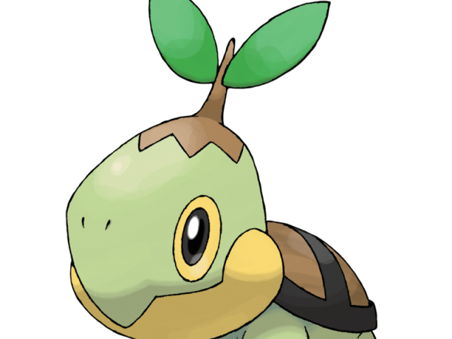 Turtwig