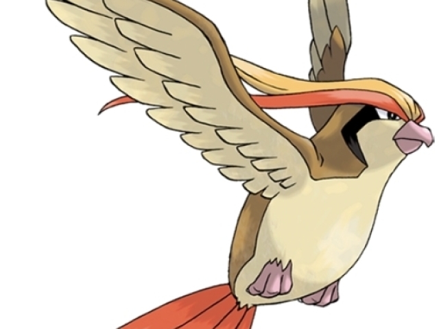 Pidgeot