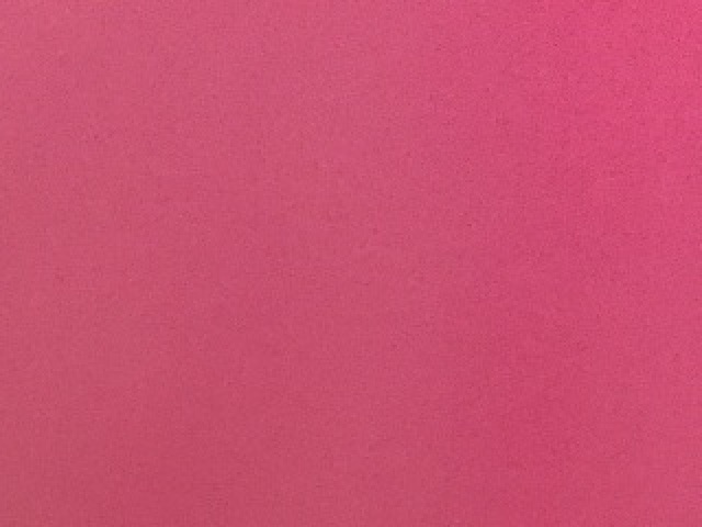 Rosa (^.^)
