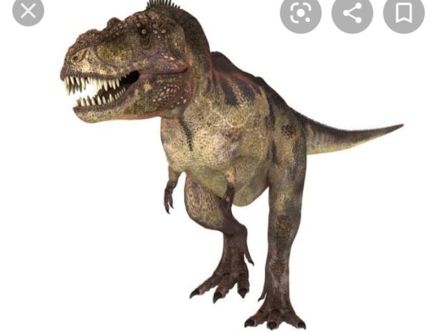 Tiranossauro rex