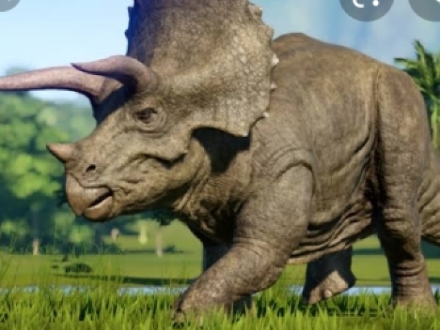 Triceratops