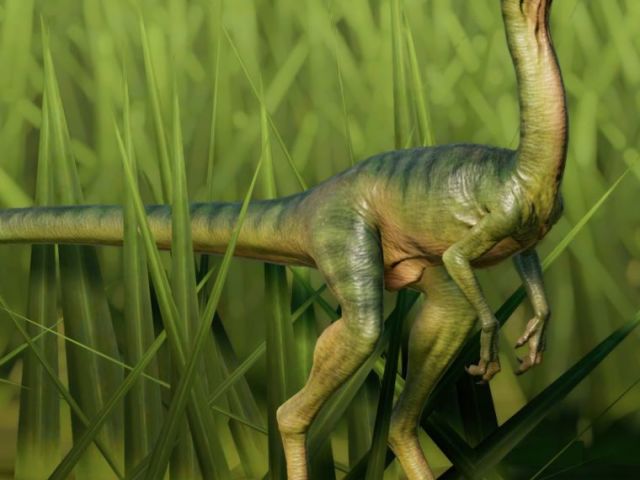 Compsognathus