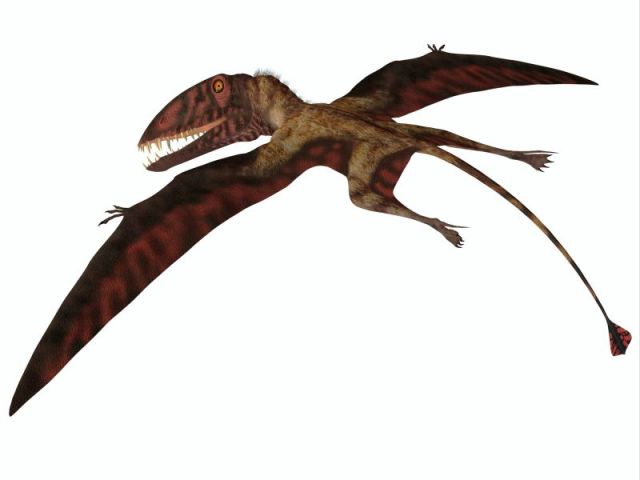 Dimorphodon