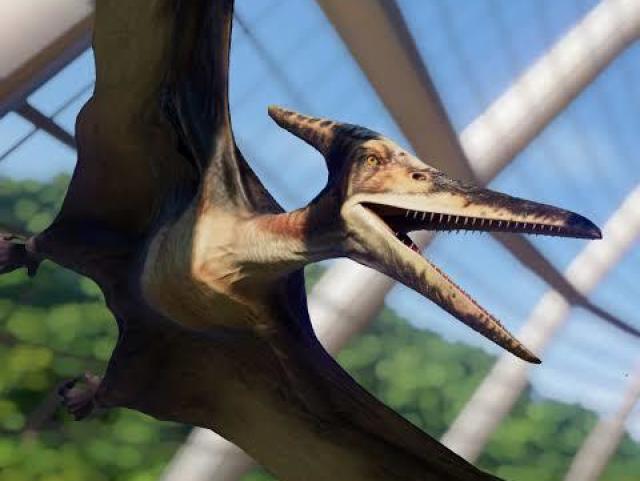 Pteranodon