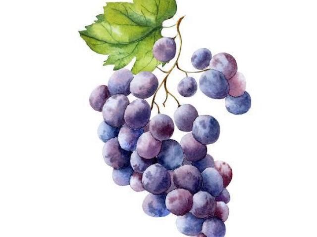 uvas