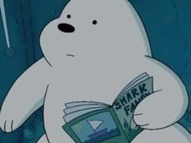 Urso Polar