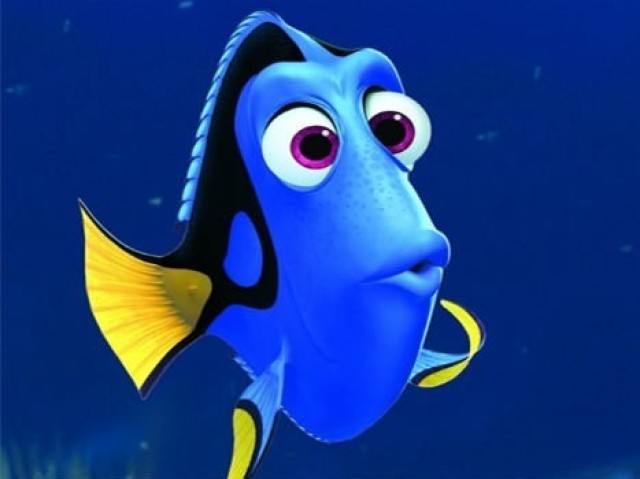 Dory