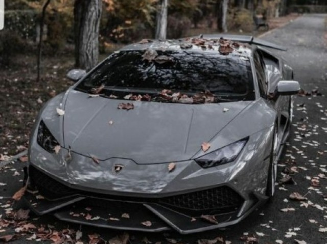 Lamborghini