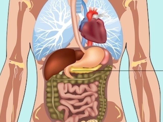 Cirurgia Geral