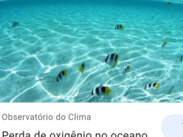 Enfrentar o oceano