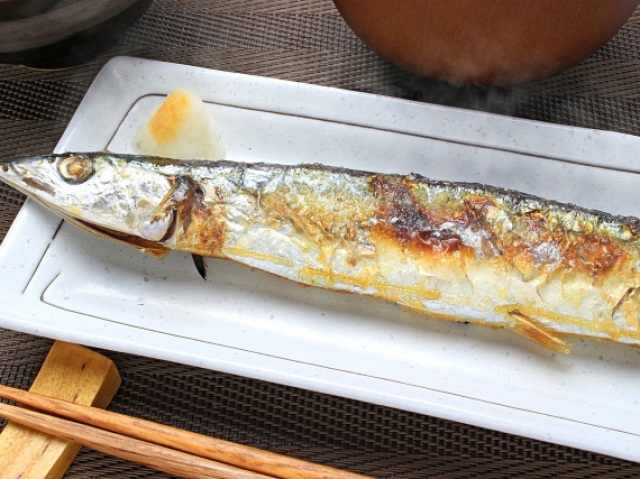 Sal grelhado saury