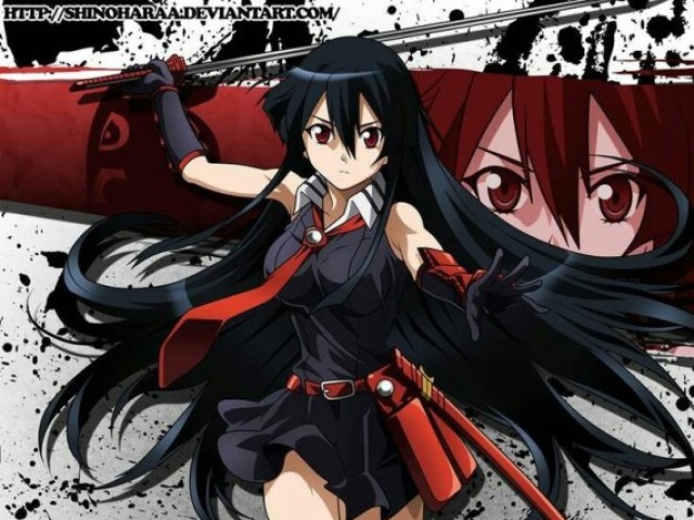 Você se parece com a Akame!