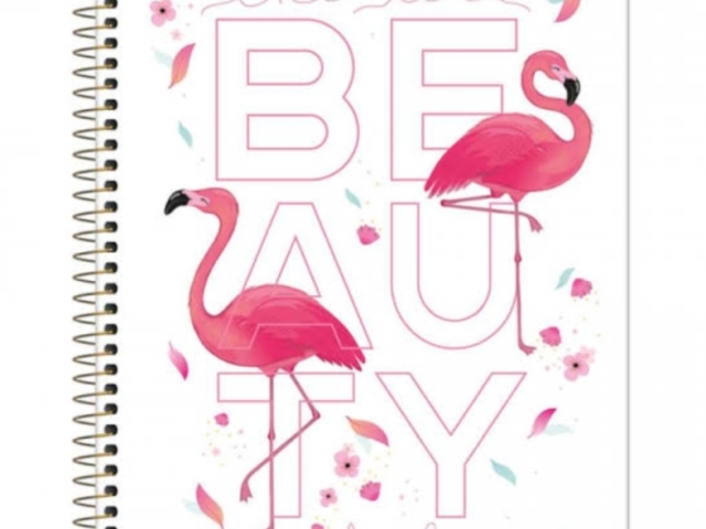 Caderno tema flamingo