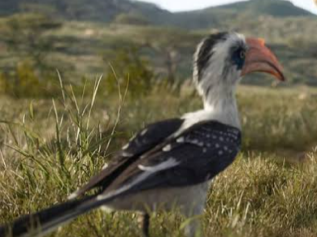 Zazu