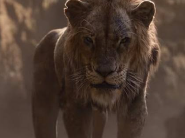 Scar