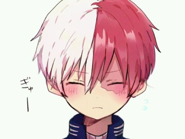 Todoroki